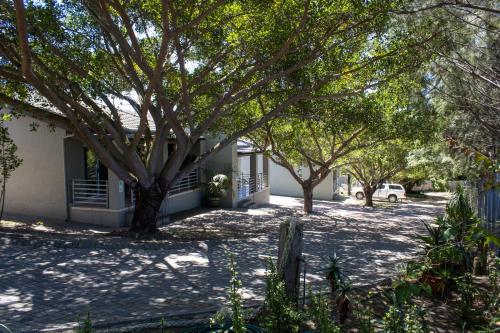 Zahrada ubytování Aloe Ridge