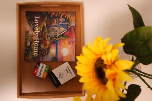 Knihovna v apartmánu