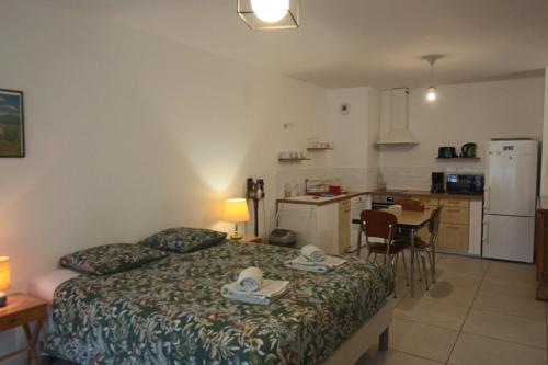 Studio 38m2 le Grand Angle, centre-ville, parking et terrasse