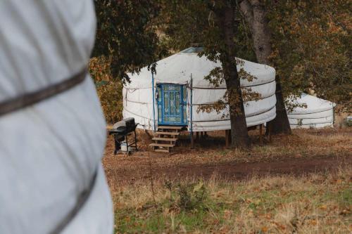 Φωτογραφία από το άλμπουμ του Glamping yurt at a nature retreat near Sequoia σε Miramonte