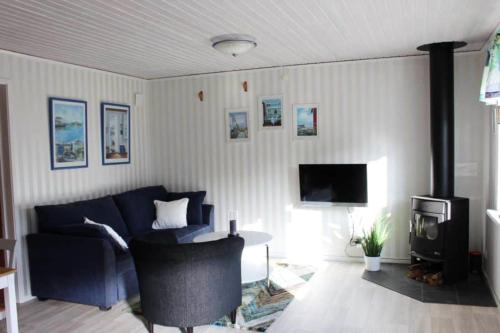 Μια τηλεόραση ή/και κέντρο ψυχαγωγίας στο Fresh cottage with lake view and rowing boat SE09156