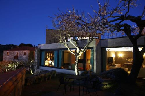 a house with a tree in the yard at night at Casas Do Coro in Marialva