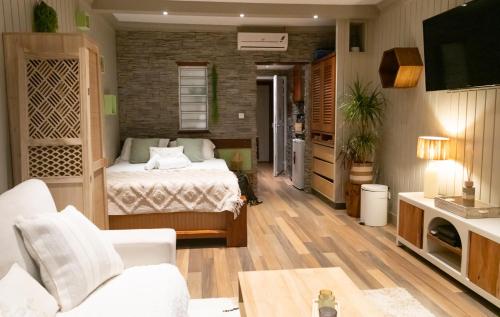 a bedroom with a bed and a living room at Cozy studio, beach and pool access with sea view in Marigot