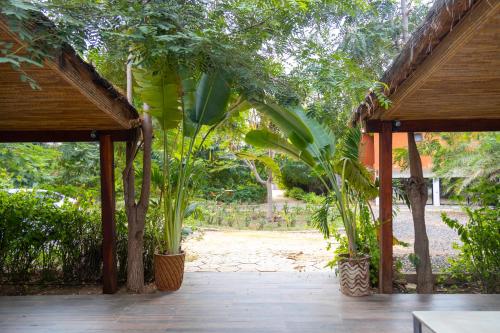 Κήπος έξω από το Farafina Lodge