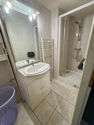 a white bathroom with a sink and a shower at Idéal we, vacances travail in Sainte-Hélène-sur-Isère