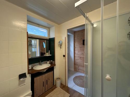 een badkamer met een wastafel en een douche bij L'annexe in Venouse
