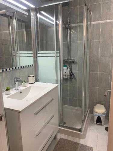 a bathroom with a shower and a sink and a toilet at Vista de Torre in Costa Del Silencio