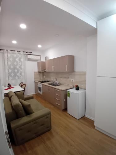 Serendipity Apartment في تيرانا: غرفة معيشة مع أريكة ومطبخ