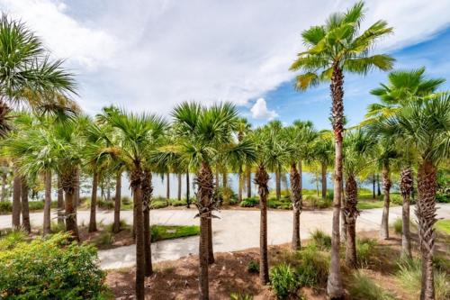 a row of palm trees in a park at Vista Cay Jewel Luxury By Universal Orlando Rental in Orlando
