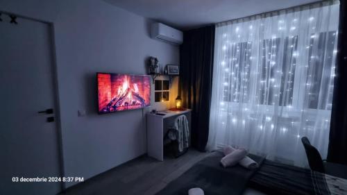 TV a/nebo společenská místnost v ubytování Refugiul Castelului