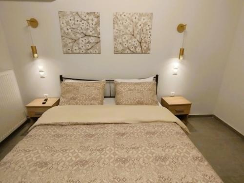 - une chambre avec un grand lit et 2 tables dans l'établissement Frank and Jimmy apartments, à Tríkala