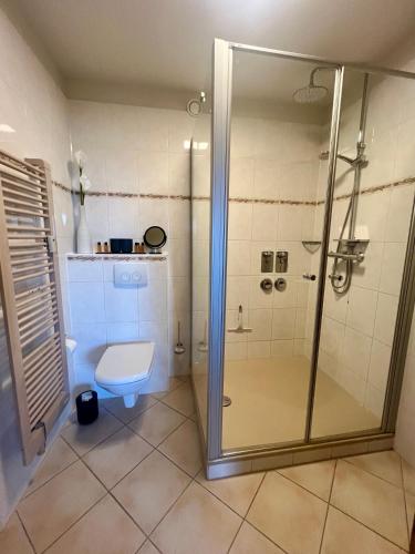 a bathroom with a shower and a toilet at COAST HOUSE Havenquartier in Bremerhaven