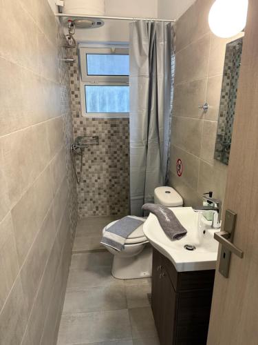 a bathroom with a toilet and a sink and a shower at Demis Sea Breeze Apartment in Artemida