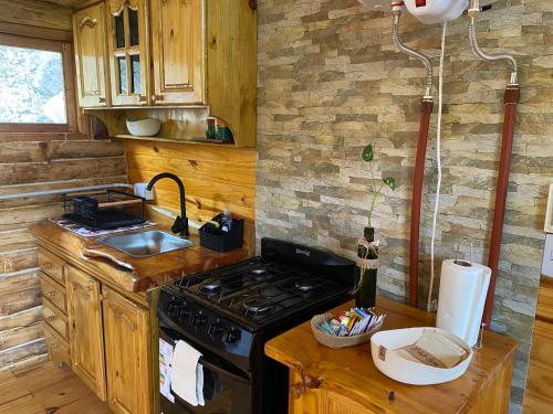 eine Küche mit Herd und Spüle in der Unterkunft La retama in Alta Gracia