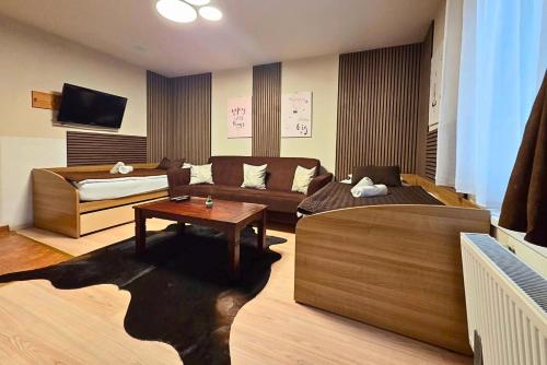 Μια τηλεόραση ή/και κέντρο ψυχαγωγίας στο Spa & Pool Apartments Prestige VILLA IVICA