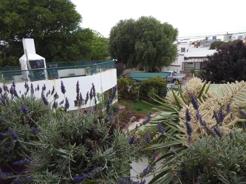 Swimmingpoolen hos eller tæt på Mareas Bajas