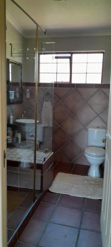 a bathroom with a shower and a toilet and a sink at Wilderness Phoenix Rising in Wildernis