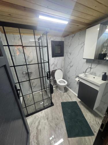 a bathroom with a toilet and a sink at Wooden villas in Chrysoupolis