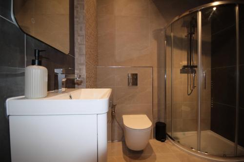 a bathroom with a toilet and a sink and a shower at One Bedroom Flat With Free parking in Acton in London