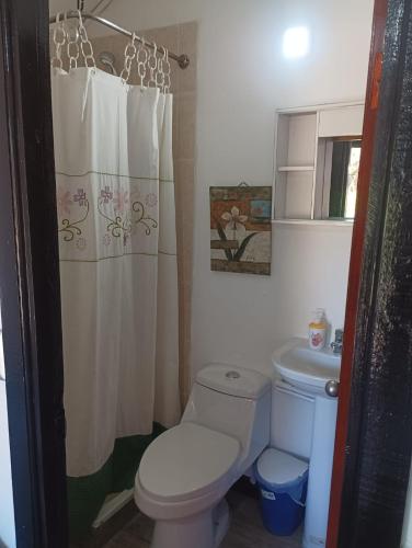a bathroom with a toilet and a shower curtain at Cabañas Selva Negra in Valparaíso