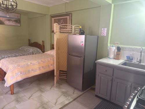 Cuina o zona de cuina de BoyceGuest apartment #1