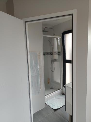a bathroom with a shower with a glass door at Villa'vi Lyon Est Chambres d'Hôtes in Saint-Priest