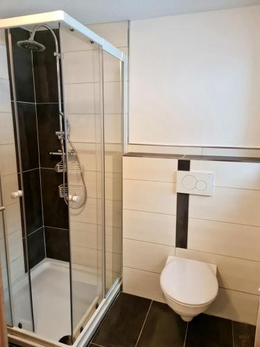 a bathroom with a toilet and a glass shower at Apart Stefan Niederthai in Niederthai