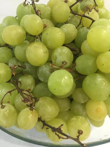 a bunch of green grapes on a plate at Hotel Perla Gaia in San Vito lo Capo