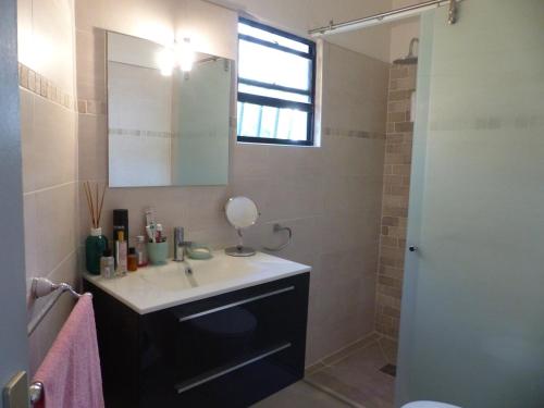 Un baño con lavabo, espejo y ducha. en Villa Patio Colibri, en Chambort