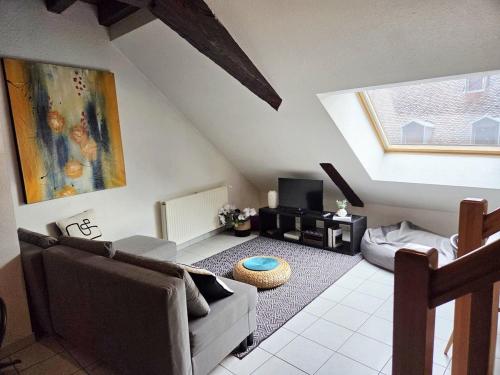 een woonkamer met een bank en een tv bij Le Cosy Center in Thonon-les-Bains