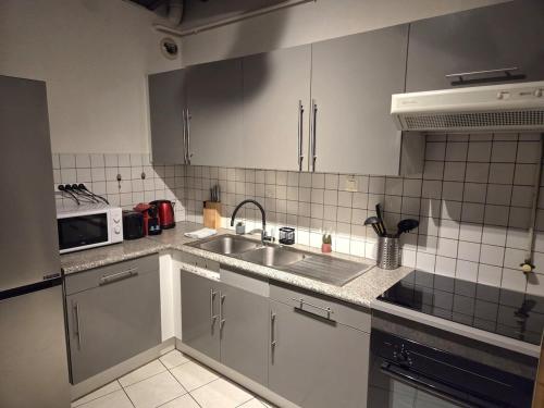 een keuken met witte kasten en een spoelbak bij Le Cosy Center in Thonon-les-Bains