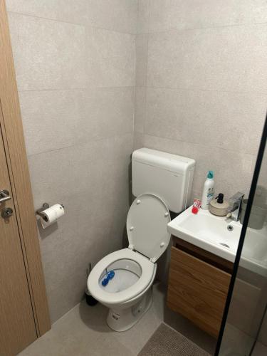 a small bathroom with a toilet and a sink at Vikendica Dedovina selo Negrišori-Lučani in Lučani