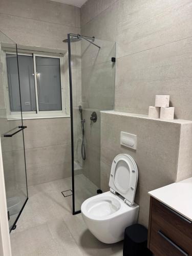 a bathroom with a toilet and a glass shower at Bimat HaTzafon in Qiryat Shemona