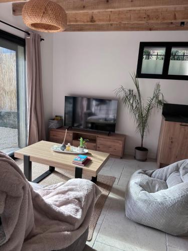 un soggiorno con TV e tavolino da caffè di Le refuge de César a Pouzac