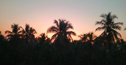 a group of palm trees in front of a sunset at Hare Krishna Beach Resort in Srīvardhan