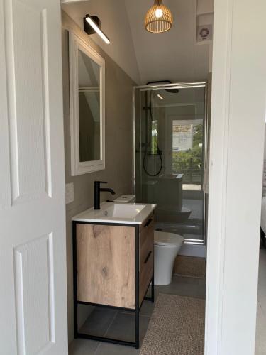 a bathroom with a sink and a shower and a toilet at Imhoff's Gift Sweet Escape in Imhoffʼs Gift