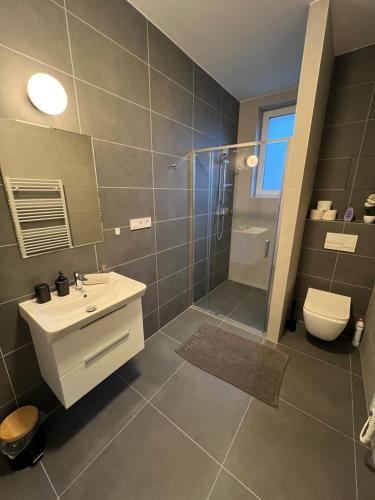 a bathroom with a sink and a shower and a toilet at Apartmány ASTRA in Cheb