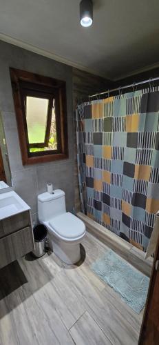 a bathroom with a toilet and a sink and a window at Casa campo en plena naturaleza 3 dormitorios y 2 baños in Lago Ranco