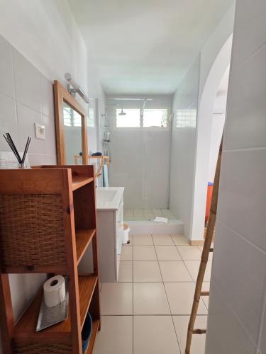 a bathroom with a sink and a toilet and a mirror at GîTE MAYO & HYLODES'S SONG in Bouillante