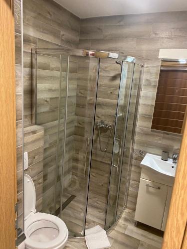 a bathroom with a shower with a toilet and a sink at Hedonizam Jahorina 2 in Jahorina