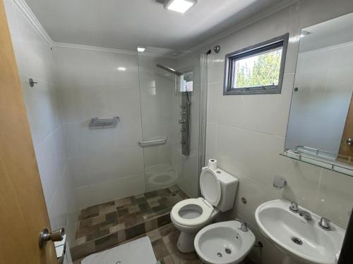 Ванная комната в Hotel Los Antiguos