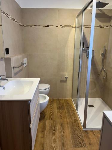 a bathroom with a shower and a toilet and a sink at Casa Berlanda in Fiera di Primiero