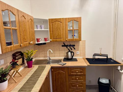 Køkken eller tekøkken på Cozy apartment