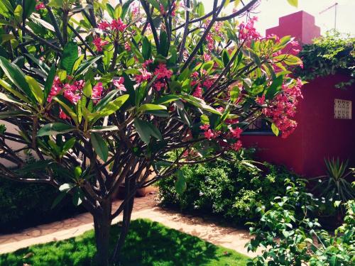 Afbeelding uit fotogalerij van villa Atlantique in Toubab Dialaw