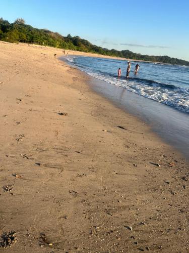 Příroda nedaleko prázdninového domu