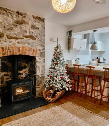 a christmas tree in a living room with a fireplace at Morfarch traditional stone cottage within Conwy walls in Conwy