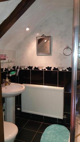 a bathroom with a sink and a mirror at Clarisses Cottage in Laragh
