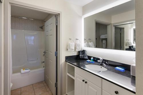 ein Badezimmer mit Waschbecken, Dusche und Spiegel in der Unterkunft Holiday Inn Express Lexington by IHG in Lexington