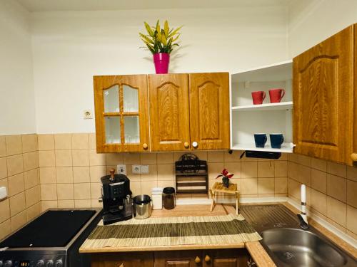 Køkken eller tekøkken på Cozy apartment