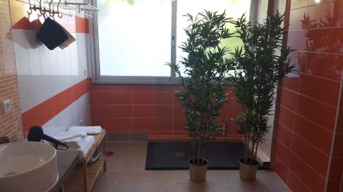 ein Badezimmer mit zwei Topfpflanzen und einem Waschbecken in der Unterkunft Budha GuestHouse in Porto